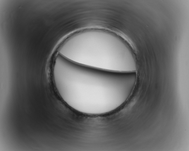 X0000099460926200805090744