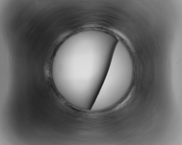 X0000099460929200805090744