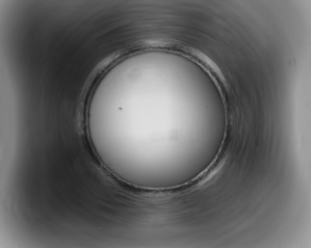 X0000099460930200805090744