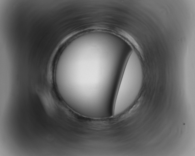 X0000099460931200805090744