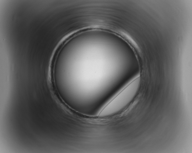 X0000099460932200805090744