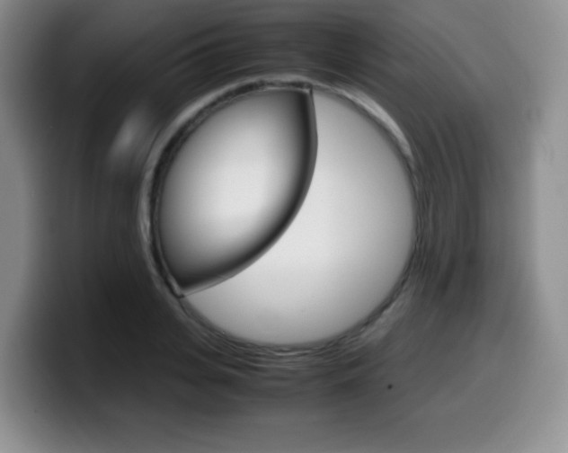 X0000099460935200805090744