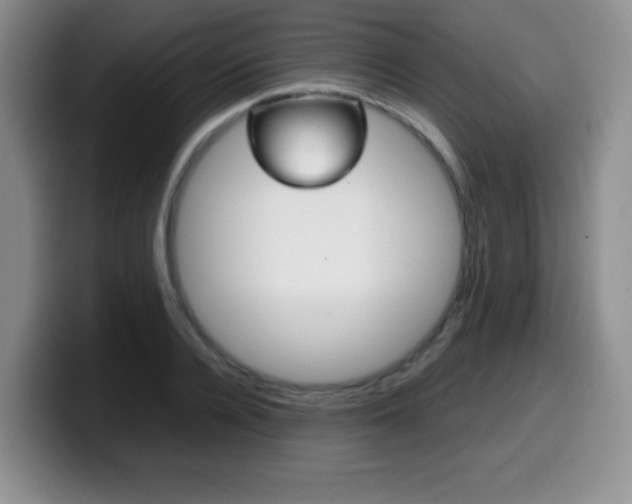X0000099460936200805090744