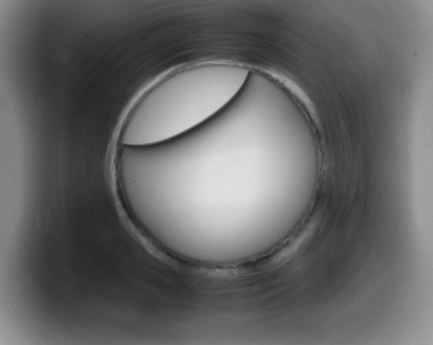X0000099460941200805090744