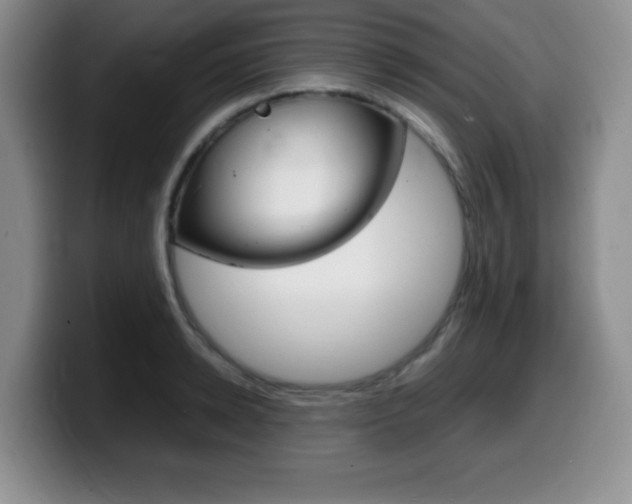 X0000099460942200805090744