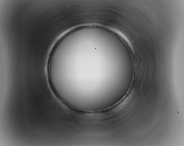 X0000099460943200805090744