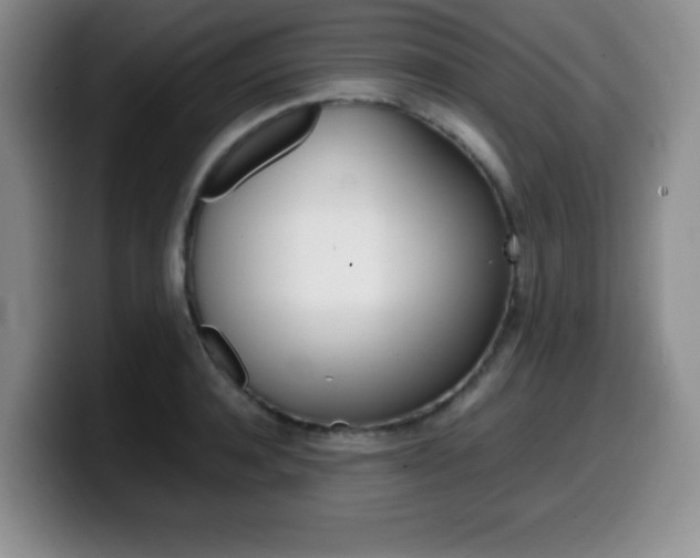 X0000099460944200805090744