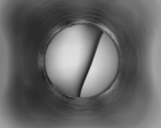 X0000099460945200805090744