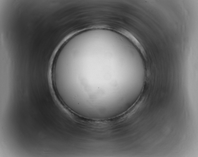 X0000099460947200805090744