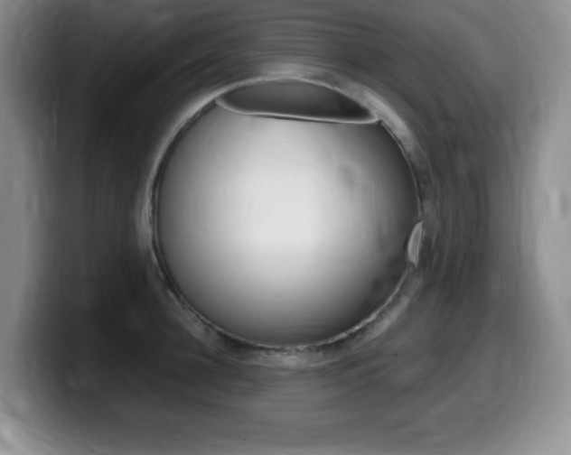 X0000099460948200805090745