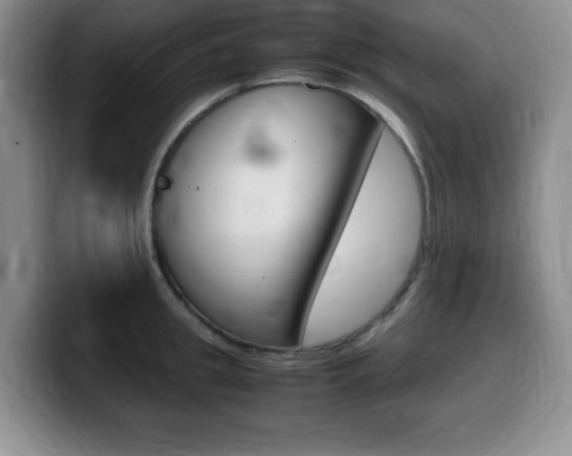 X0000099460949200805090745