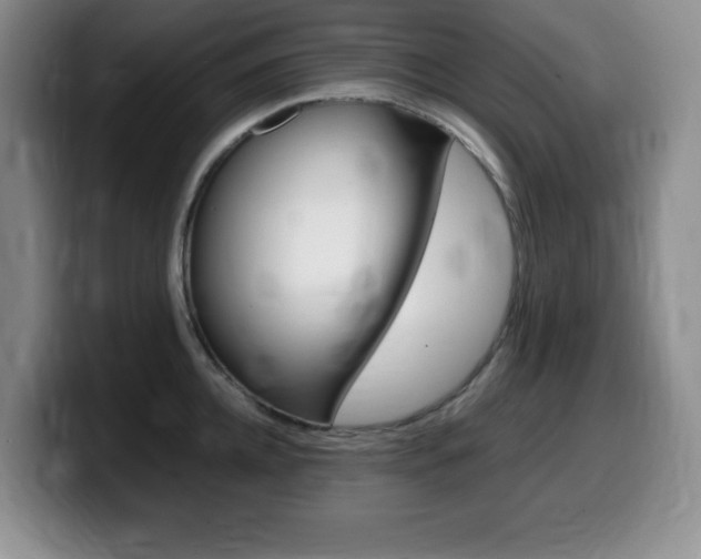 X0000099460952200805090745