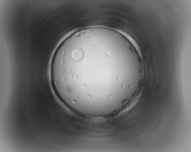 X0000099460957200805090745