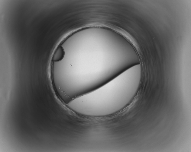 X0000099460958200805090745
