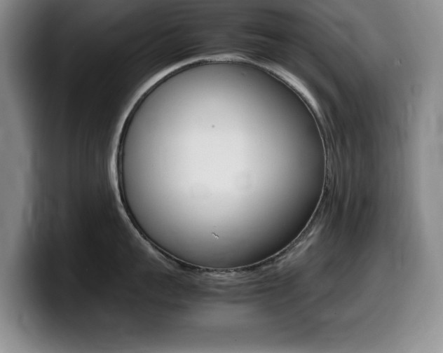 X0000099460959200805090745