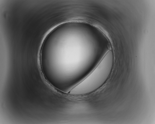 X0000099460960200805090745