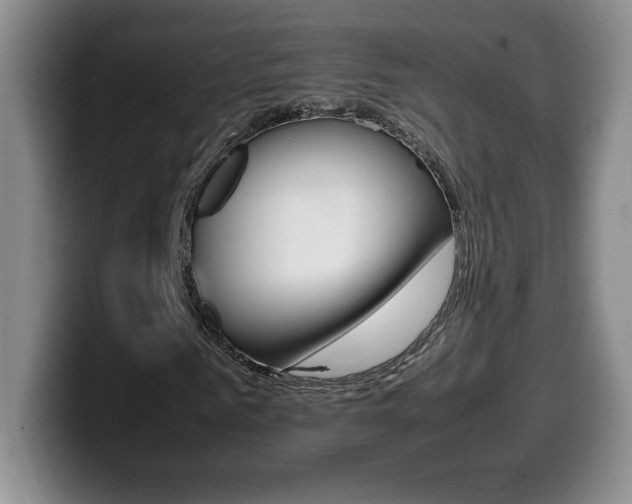 X0000099460961200805090744