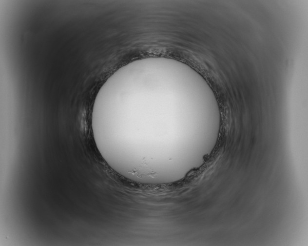 X0000099460962200805090744