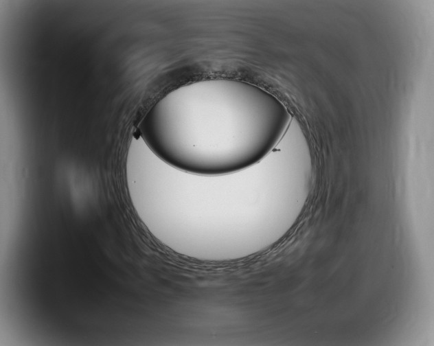 X0000099460963200805090744
