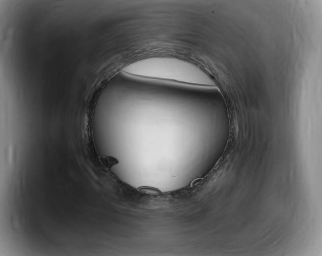 X0000099460964200805090744
