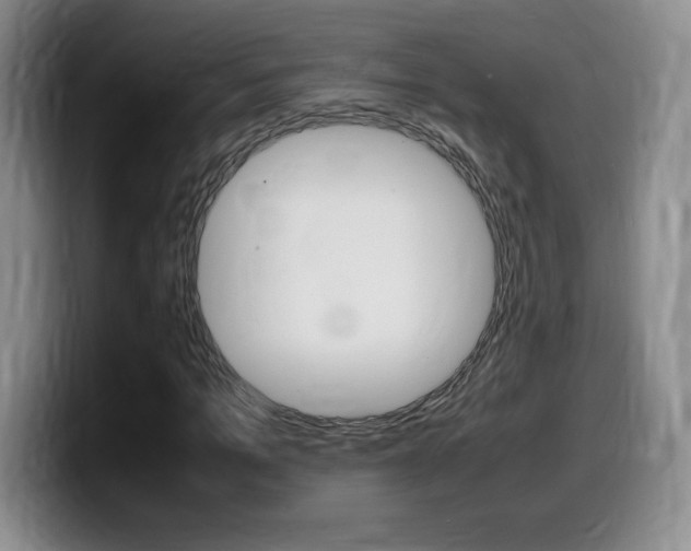 X0000099460965200805090744