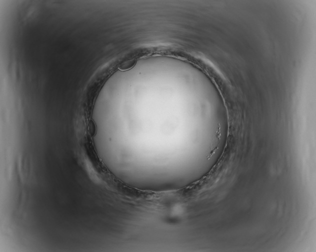 X0000099460967200805090744