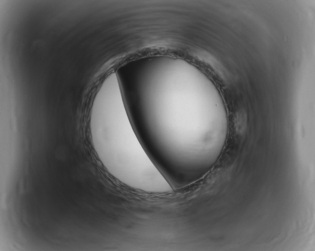 X0000099460968200805090744