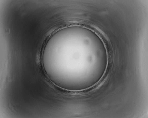 X0000099460969200805090744