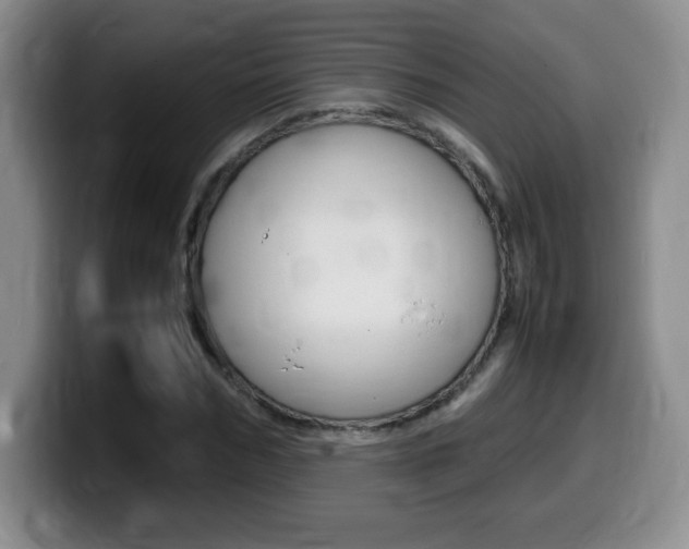 X0000099460970200805090744