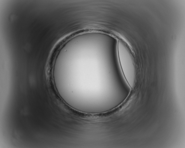 X0000099460971200805090744
