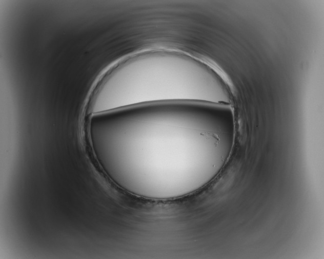 X0000099460972200805090744