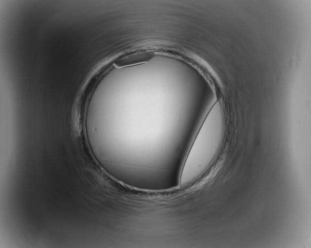 X0000099460973200805090744