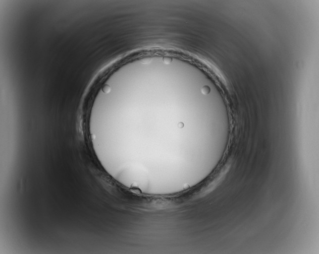 X0000099460974200805090744