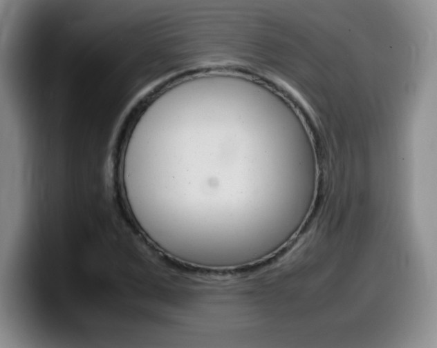X0000099460975200805090744