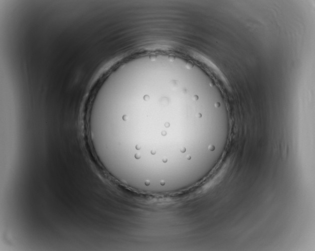 X0000099460978200805090744