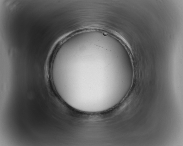 X0000099460979200805090744