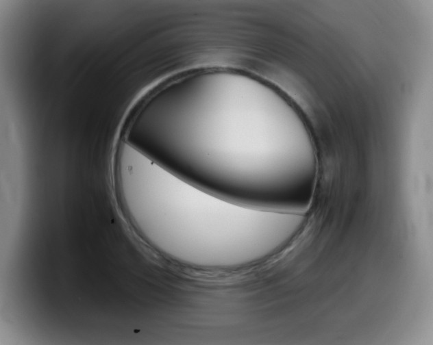 X0000099460980200805090744