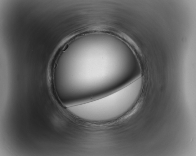 X0000099460981200805090744