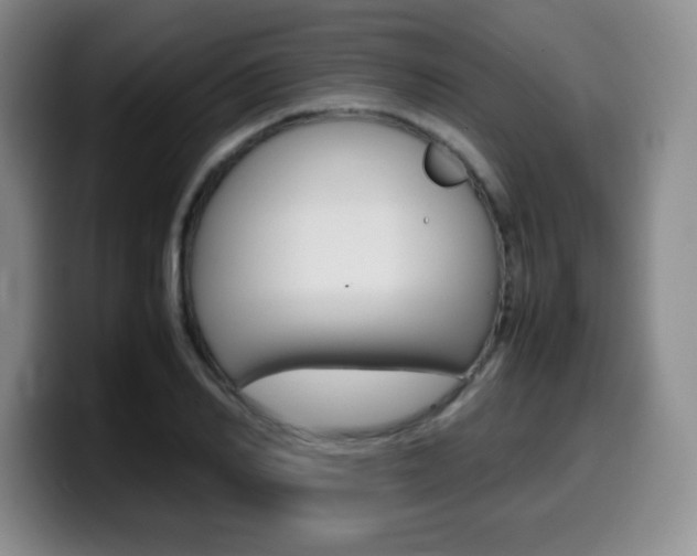 X0000099460982200805090744