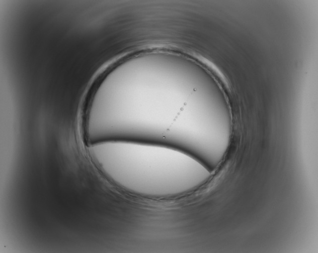 X0000099460983200805090744
