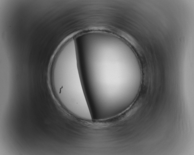 X0000099460984200805090744