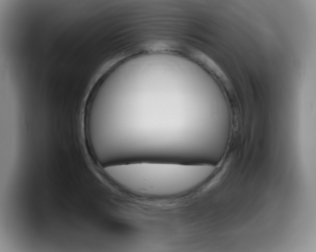 X0000099460986200805090744