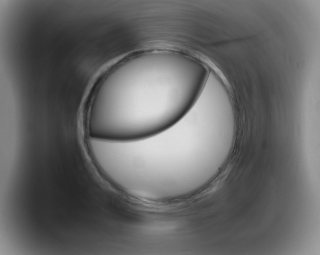 X0000099460987200805090744