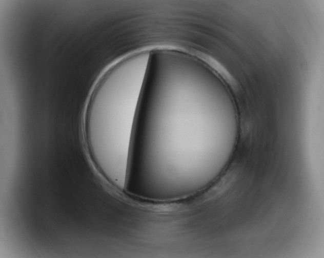 X0000099460988200805090744