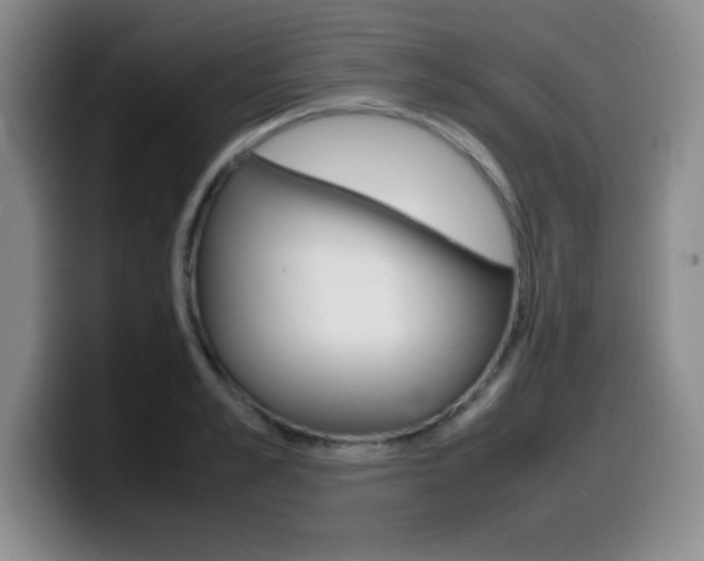 X0000099460989200805090744