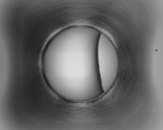 X0000099460990200805090744