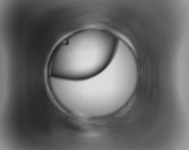 X0000099460991200805090744