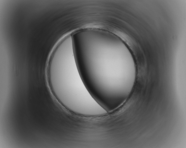 X0000099460992200805090744
