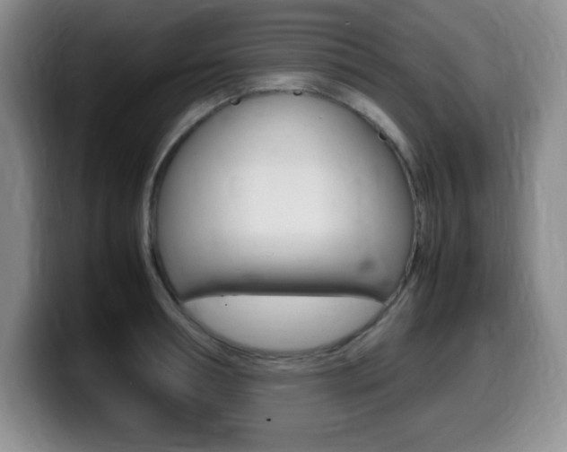 X0000099460994200805090744