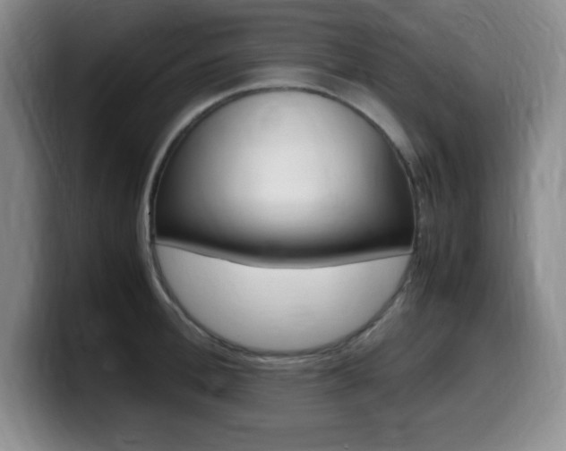 X0000099460996200805090744